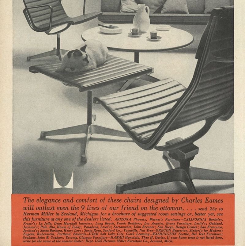 HM Advert