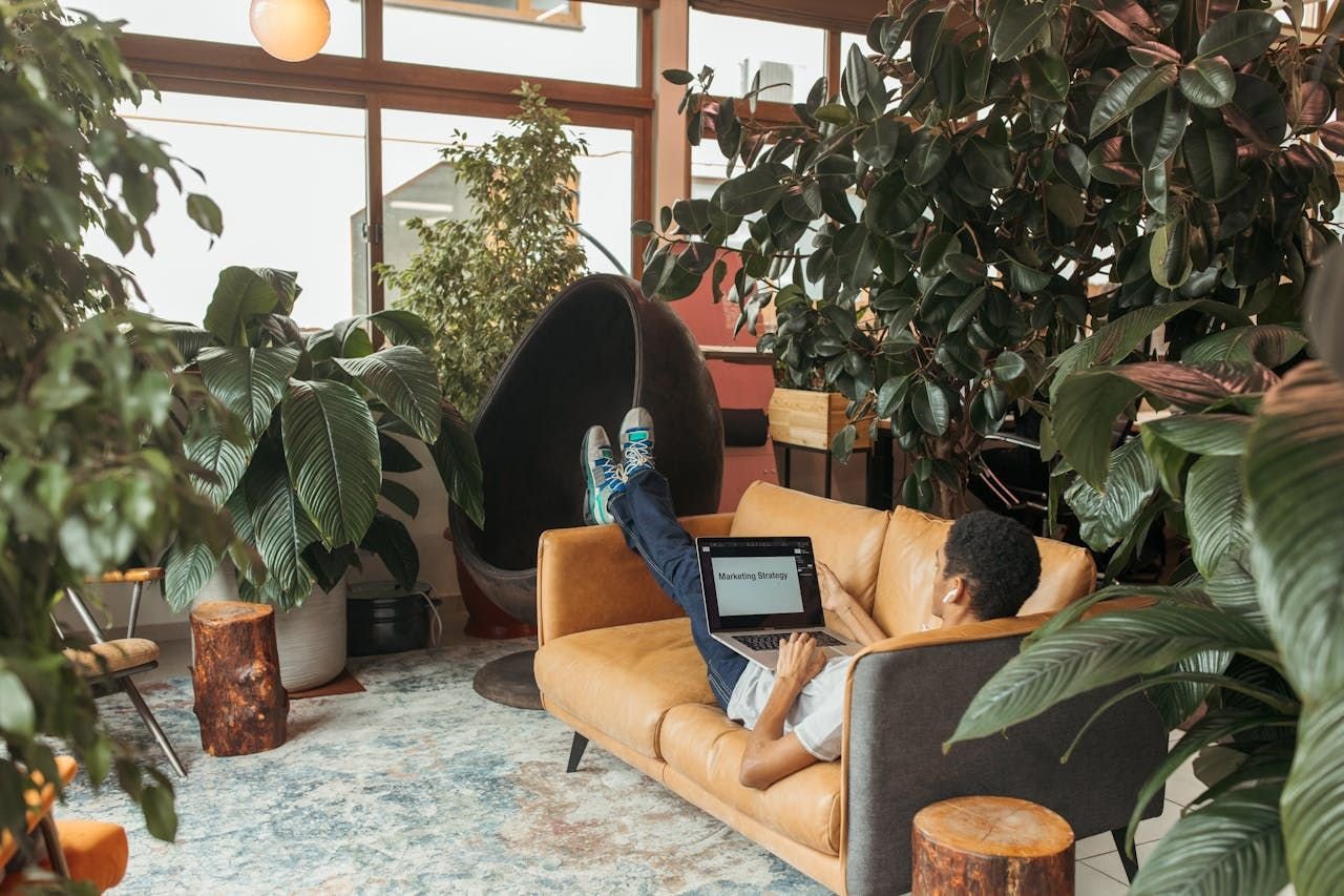 Office Plants1