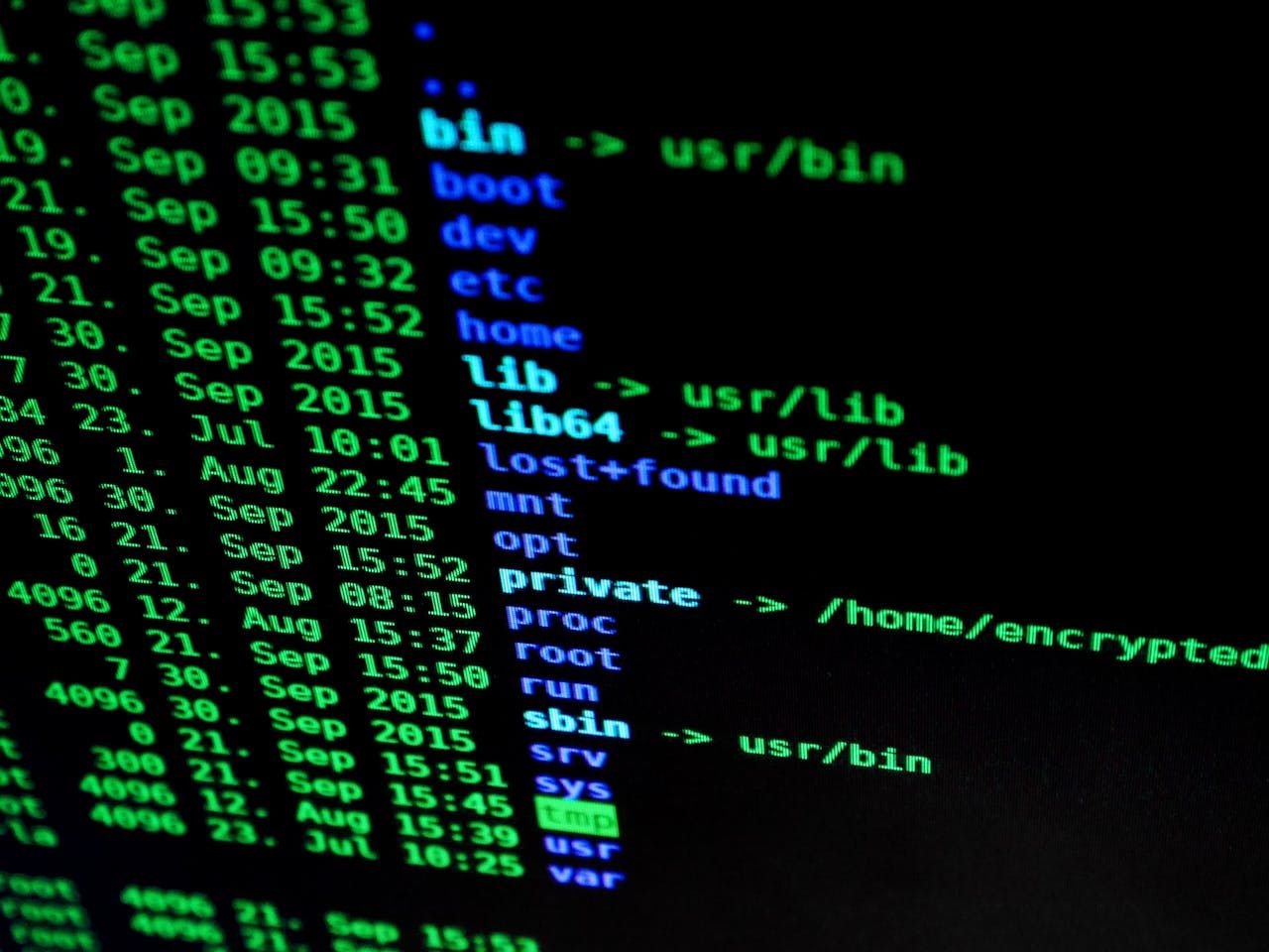 Computer virus