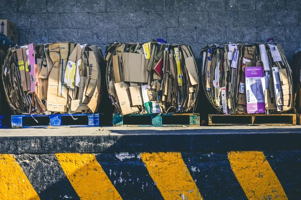 Cardboard Packaging Waste