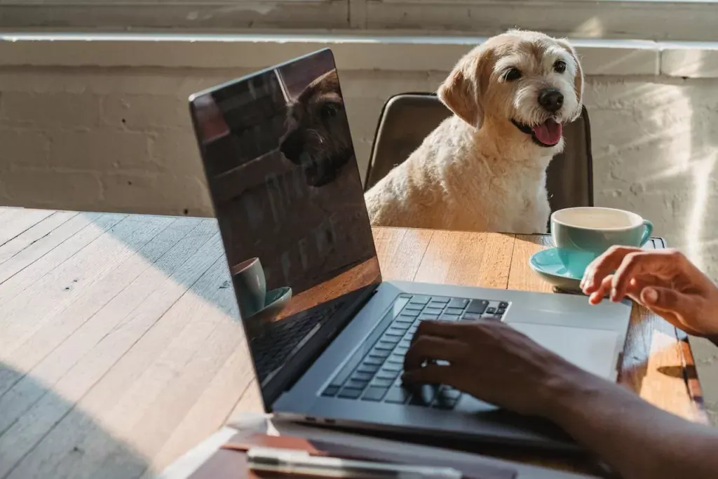 Work Dog
